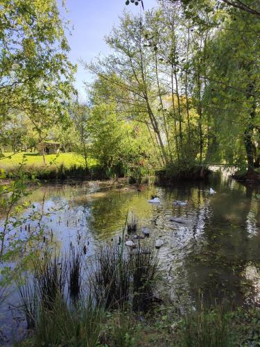 De Couleurs Et D'eau Fraîche
