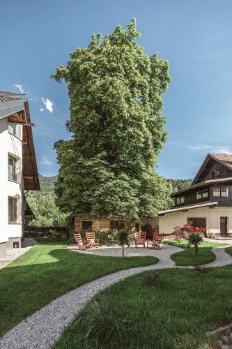 Apartments And Rooms Kaja