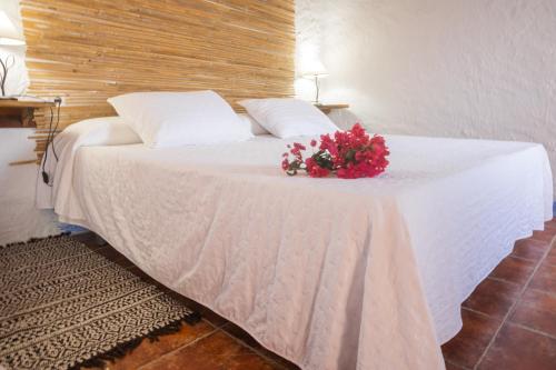 Casa Rural Aloe Vera