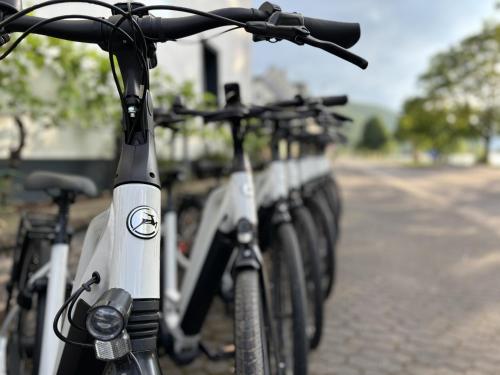 Moseltel Ernst Cochem