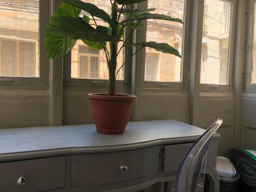 Lees Inn Sliema House