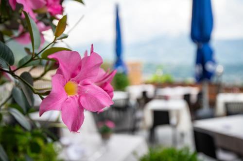 Hotel Residence MaVie