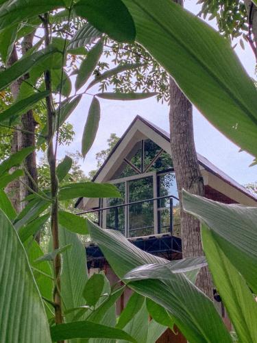 Balay Hilway - Cozy Rustic Cabin