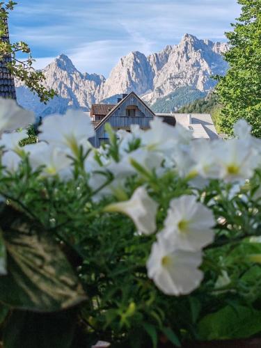Apartments & Rooms Smucka