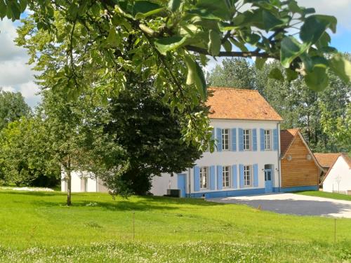 La Reinette des Prés