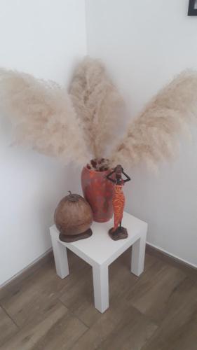 Veronique schouckens