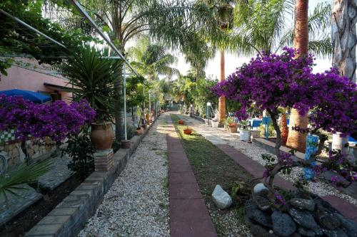 Maison Villa Arci Resort