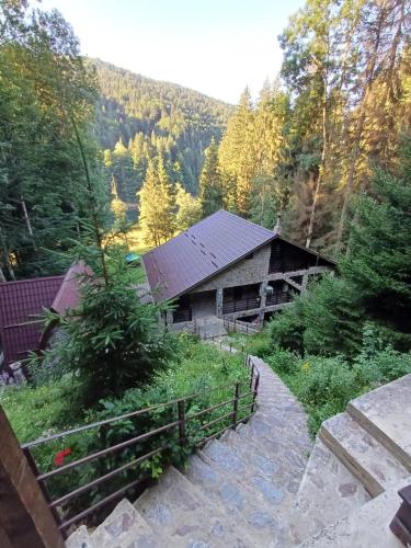 Cabana Zimbru Transfagarasan