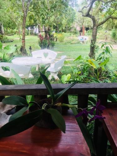 Balili Garden at Nacpan