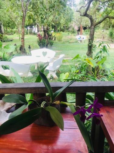 Balili Garden at Nacpan