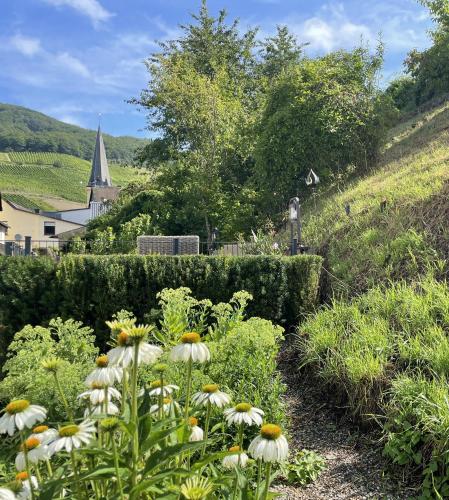 Ferienpension Bei Stenze