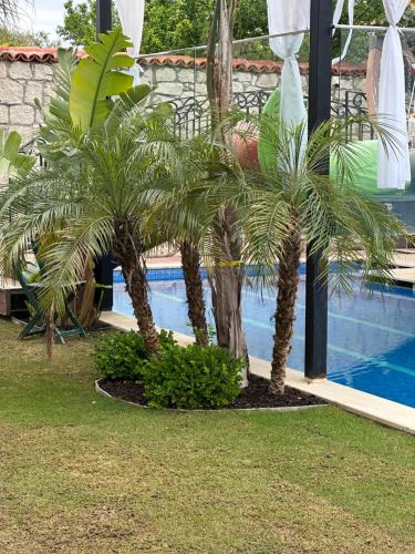 Alacati Grand Eldoris Hotel