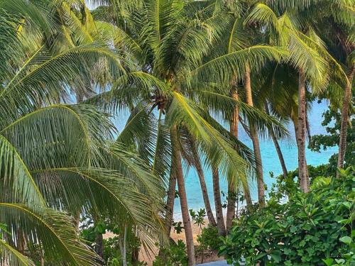 High Ceiling 60sqm Family Apartment with Partial Sea View and Kitchen