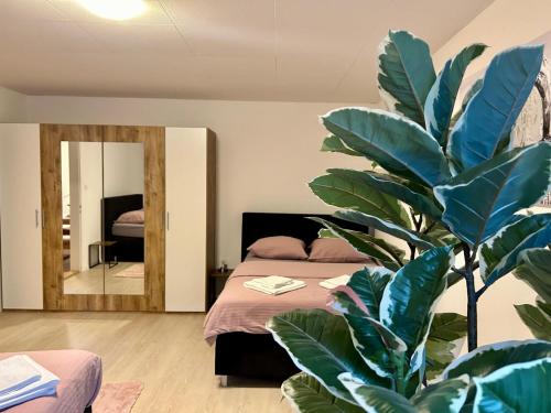 tas24ch Travel and Sleep 24