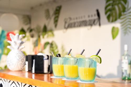 Hovima Jardín Caleta