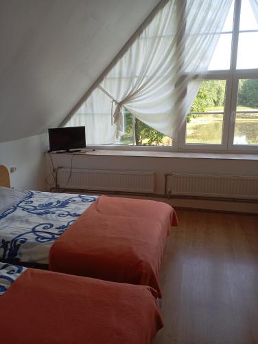 Gazdu Vandens Malunas