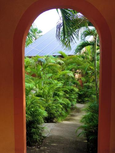 Chekesh Casa