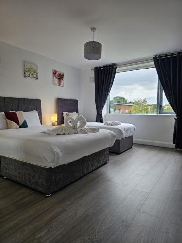 Wild Atlantic Way Apartments Killarney