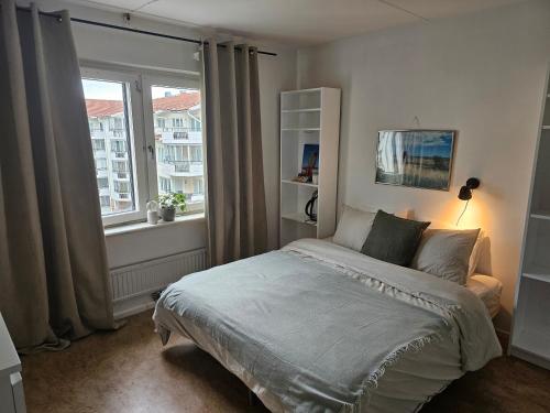 Central Room with Private Entrance and Ensuite Bathroom