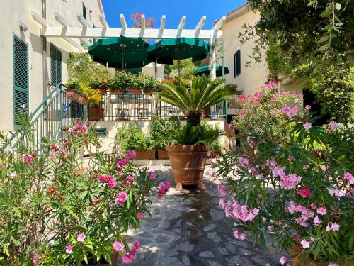 Residence Belevedere