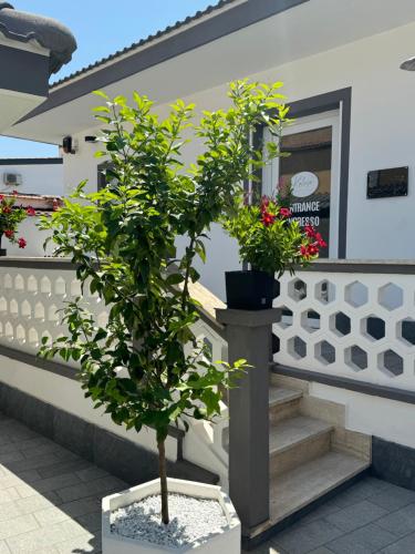 Kalasó Guest House