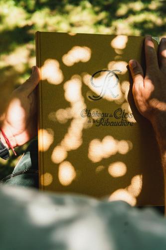 Château du Clos de la Ribaudière