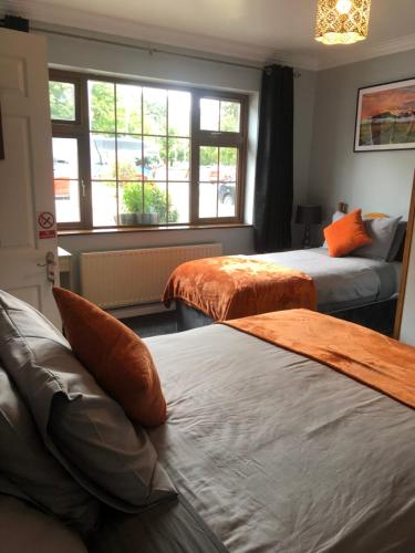 Manor Lodge B&B