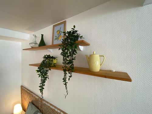 Green Haven - Joli studio - Centre Ville de Caen