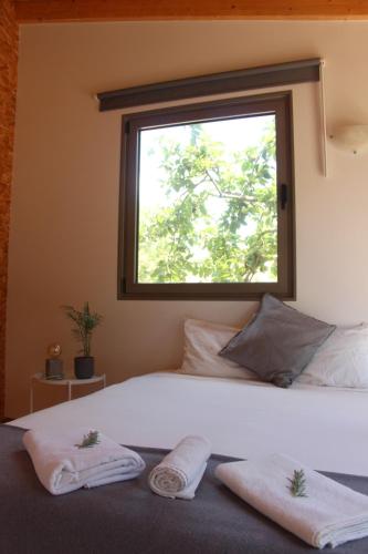 Biovilla Sustentabilidade