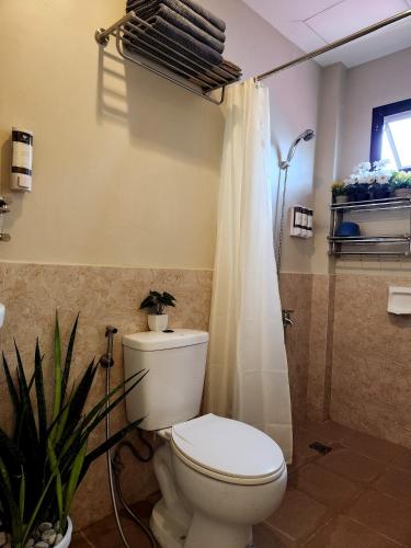 Don Seroy Backpackers Inn