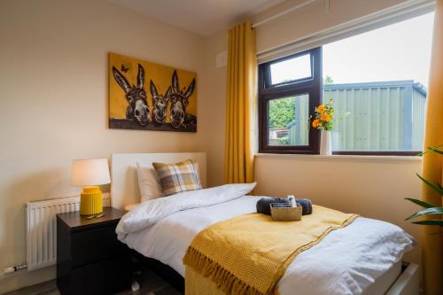 Dublin Suburban Haven