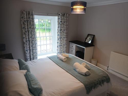 Llanina Arms Hotel