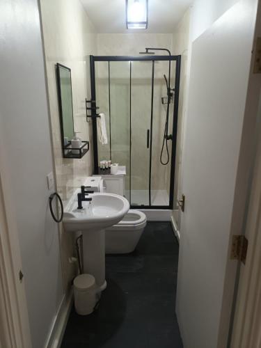 Llanina Arms Hotel