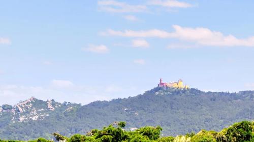 WOT Sintra Sarrazola