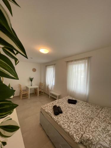 Langenzersdorf Apartment