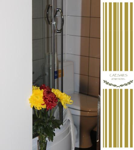 Bucur Accommodation