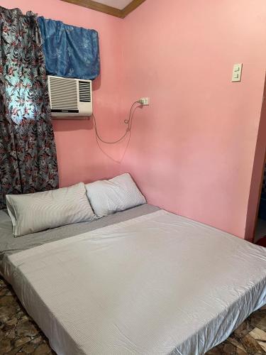 Zia's Homestay