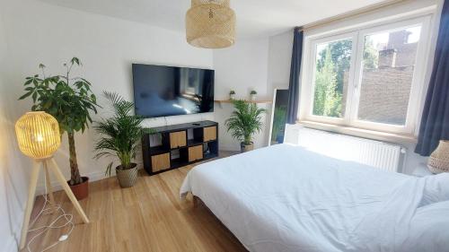 Appartements Entiers - Centre de Tournai