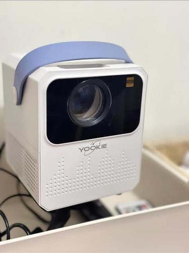 This must be the place for you