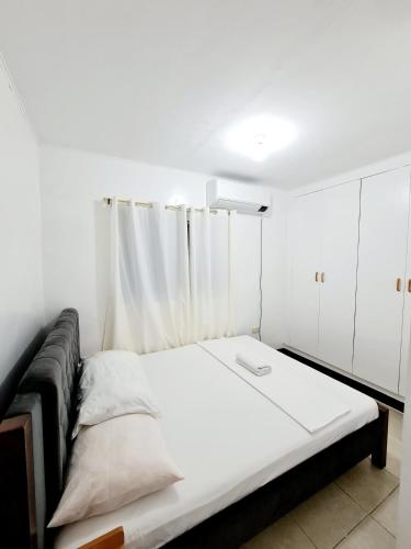 Calapan Transient Maple L82