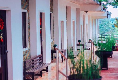 Dream Haven Bed & Breakfast By RedDoorz