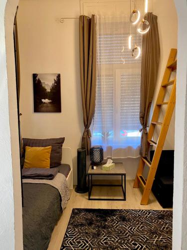 Schönes Apartment am Rhein - Zentral 1