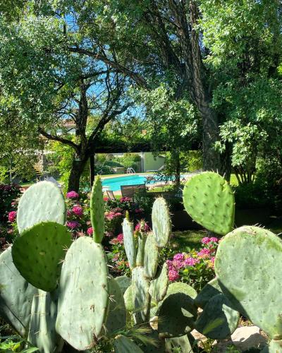 Podere Dell'Arco Country Charme