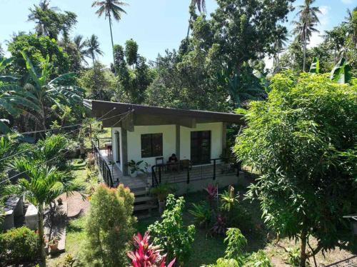 Andrei Holiday House