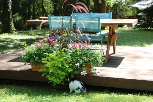 Les Roulottes A Sandie