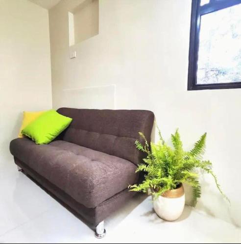 Brent hill Condominium 1bedroom & studio units