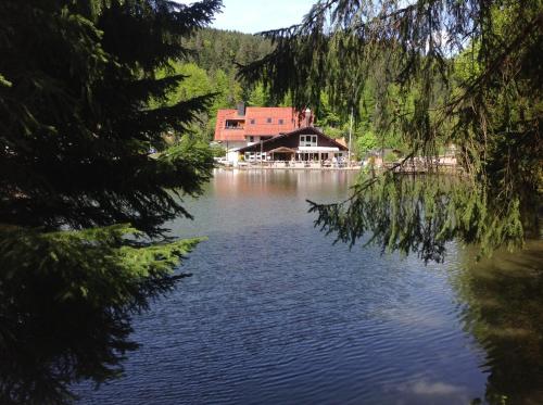 Am Bergsee