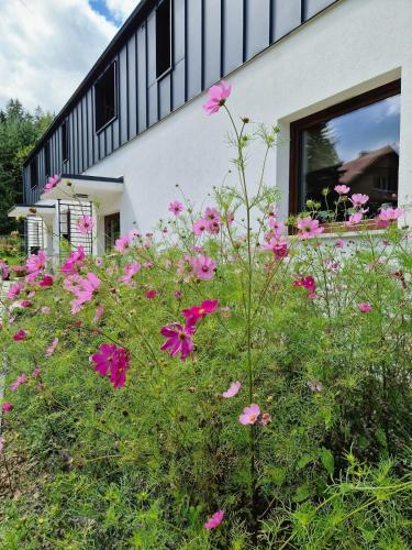 Willa Na Pstrążnicy