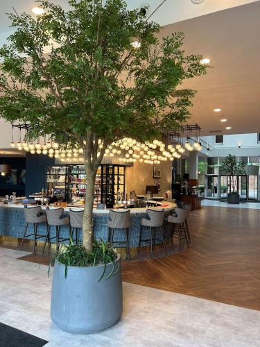 Radisson Blu Durham