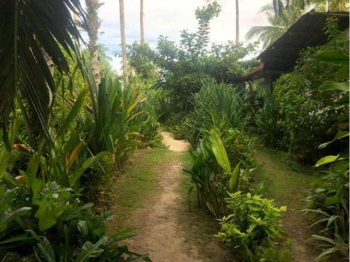 Secret Spot Siargao